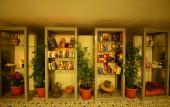 Туры в отель Neruda Hotel