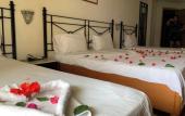 Туры в отель Sol Palmeras Beach - Family Hotel