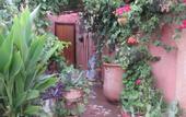 Туры в отель Riad Maizie
