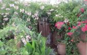 Туры в отель Riad Maizie