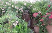 Туры в отель Riad Maizie