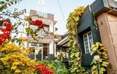 Туры в отель The Panorama Hotel