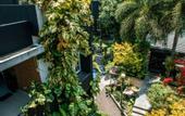 Туры в отель The Panorama Hotel