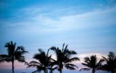 Туры в отель Amarta Beach Retreat By Nakula