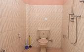Туры в отель Wayside Guest