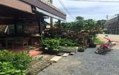 Туры в отель Phangan Barsay Hostel