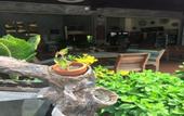 Туры в отель Phangan Barsay Hostel