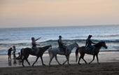 Туры в отель Seminyak Square Hotel And Villas