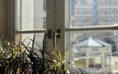 Туры в отель Nw Hostel Hostel