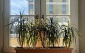Туры в отель Nw Hostel Hostel