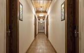 Туры в отель Orchis Hotel