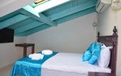 Туры в отель Orchis Hotel