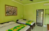 Туры в отель Berlian Beach Inn Kuta