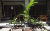 Туры в отель Rumah Ary Homestay & Spa