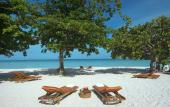 Туры в отель Grand Pineapple Beach Negril