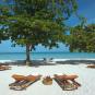 Туры в отель Grand Pineapple Beach Negril, оператор Anex Tour