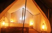 Туры в отель Sigiriya Lodge - Hostel