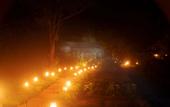 Туры в отель Sigiriya Lodge - Hostel
