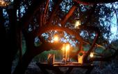 Туры в отель Sigiriya Lodge - Hostel