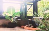 Туры в отель The Wishes Hotel at Chiangmai