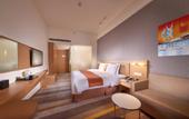 Туры в отель Holiday Inn Express Chengdu Huanhuaxi by IHG