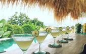 Туры в отель Gravity Eco Boutique Hotel-Adults Only