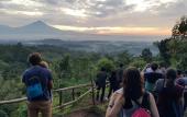 Туры в отель Sarasvati Borobudur