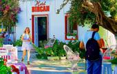 Туры в отель Bircan