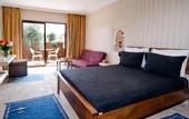 Туры в отель Palais Riad Berbere