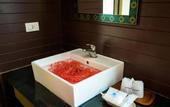 Туры в отель Phi Phi Andaman Beach Resort