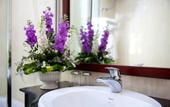 Туры в отель Golden Lotus Legend Hotel