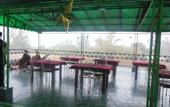 Туры в отель Hotel Taj Plaza