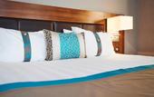 Туры в отель Holiday Inn Nice by IHG