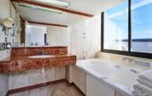 Туры в отель Holiday Inn Nice by IHG