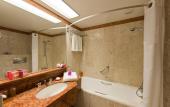 Туры в отель Holiday Inn Nice by IHG