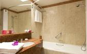 Туры в отель Holiday Inn Nice by IHG
