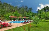 Туры в отель Dalya Life Hotel