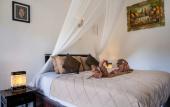 Туры в отель Absolute Scuba Bali Dive Resort