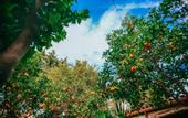 Туры в отель Hadrianus Boutique Hotel