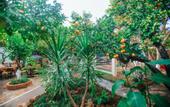 Туры в отель Hadrianus Boutique Hotel
