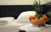 Туры в отель Hotel Komovi