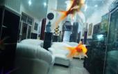 Туры в отель Vatan Hotel