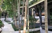 Туры в отель Rin Beach Resort