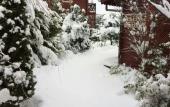 Туры в отель Agva Himalaya Motel