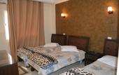 Туры в отель Pacha Hotel