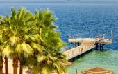 Туры в отель Grand Rotana Resort & Spa