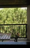 Туры в отель Maviev Otel