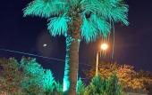 Туры в отель Maviev Otel