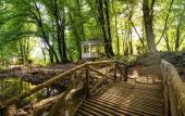 Туры в отель Qafqaz Riverside Hotel