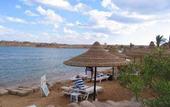 Туры в отель Poinciana Sharm Resort